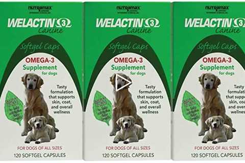 Review Nutramax Welactin Omega-3 Fish Oil Skin and Coat Health Supplement Liquid for Dogs