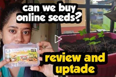 Buy seeds online at cheap price | Amazon flower seeds | Best soil for growth | online seed shopping