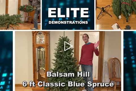 Review Balsam Hill 6ft Premium Unlit Artificial Christmas Tree 'Traditional' Classic Blue Spruce