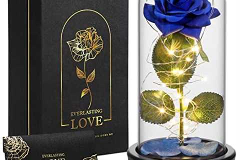 Gifts for Mom Women Thanksgiving Christmas: Glass Rose Beauty and The Beast Rose Forever Galaxy..