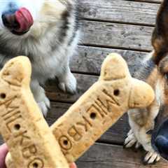Milk-Bone Dog Treats Biscuits 10-Pound Box Only $9.74 Shipped on Amazon (Regularly $15)