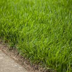 Achieving a Lush, Green Lawn: Aeration Services And Advanced Tree Service Equipment In Northern..