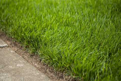 Achieving a Lush, Green Lawn: Aeration Services And Advanced Tree Service Equipment In Northern..