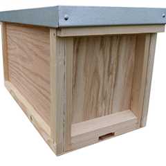 Bee Nucleus Box for Beekeeping Hive