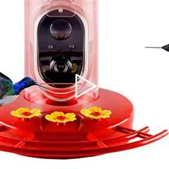 Nature's Rhythm Smart Hummingbird Feeder with Camera