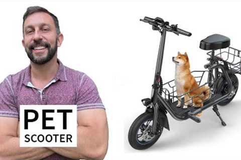 Every Pet Owner Should Consider the Gyroor C1S E-Scooter | Features & Benefits