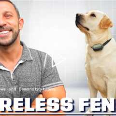 PETHEY 3 in1 Wireless Fence For Dogs