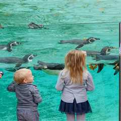Easter on a Budget: 12 Brilliant Days Out for Universal Credit Families
