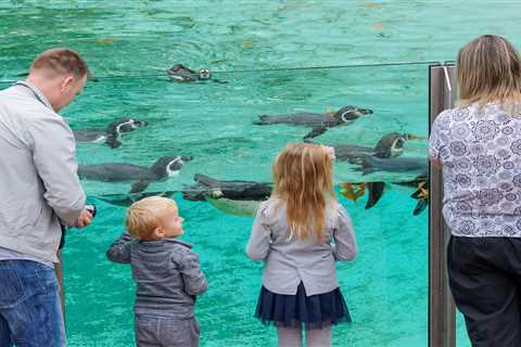 Easter on a Budget: 12 Brilliant Days Out for Universal Credit Families