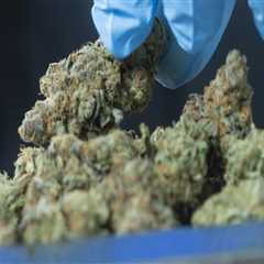 The Ultimate Guide to Dispensaries in Maricopa County, Arizona