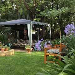 Timing is EVERYTHING: Snag Your Garden Goodies Now & Save a Small Fortune (I Just Saved £180!)