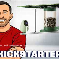 RobinsNote Smart Bird Feeder