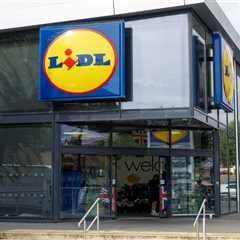 This £15 Lidl Find Just Saved My Festival Season (And My Back)