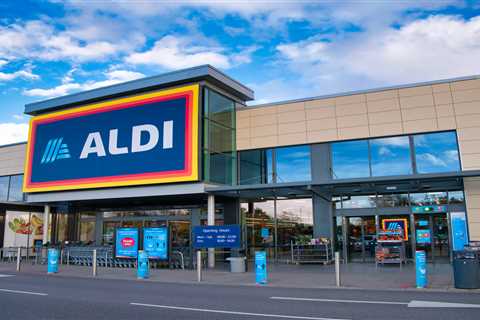 Your Furry Friends Will Thank You: Aldi's Summer Pet Range Hits Shelves Next Week (and it's..