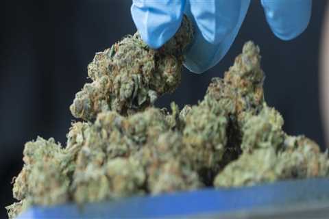 The Ultimate Guide to Dispensaries in Maricopa County, Arizona