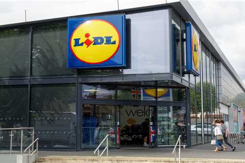 This £15 Lidl Find Just Saved My Festival Season (And My Back)