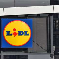 My Lidl App Just Gave Me Free Strawberries (And I Didn't Even Shop There This Month)