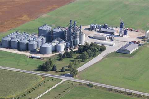 Lang Farms, Ltd. - Homepage