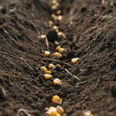 Home - luckeyfarmers.com
