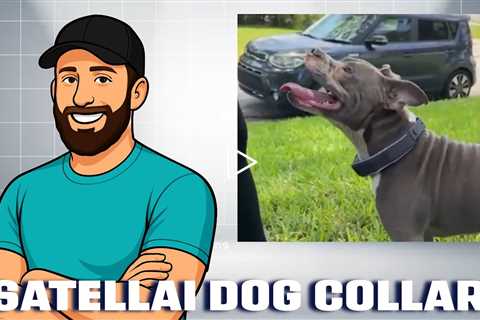 SATELLAI Collar-The most advanced GPS Wireless Dog Fence with AI Insights, GPS Tracking, and More