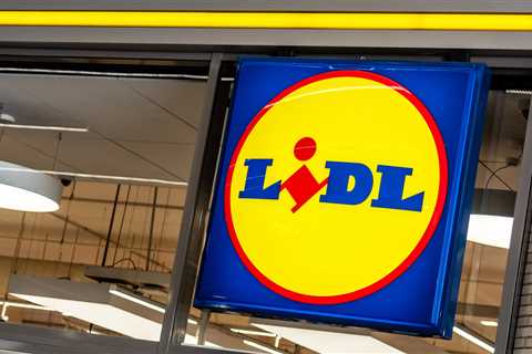 Next Week's Lidl Middle Aisle Haul: I Already Made My Shopping List (And You Should Too)