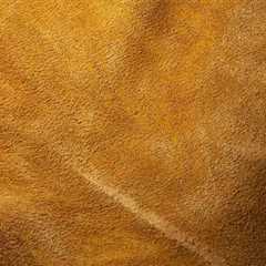 What is Suede Leather? How to care for Suede Leather