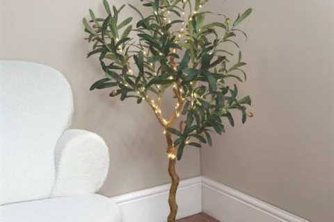 This £35 LED Olive Tree From The Range Just Made Me Cancel My Next Order