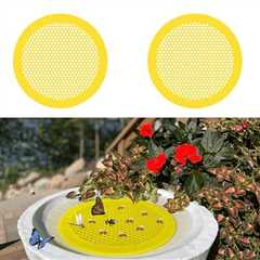 Bee Pontoon 2 Pack - Watering Station & Decor