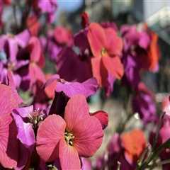 The Ultimate Guide to Gift Shops in Eugene, Oregon: Unique Gifts for Every Occasion