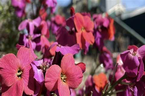 The Ultimate Guide to Affordable Gift Shops in Eugene, Oregon