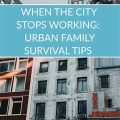 Prepare for urban disasters with the urban family survival guide, When the City Stops Working by..