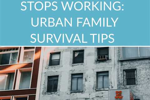 Prepare for urban disasters with the urban family survival guide, When the City Stops Working by..