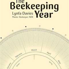Year-Round Guide to Beekeeping Management