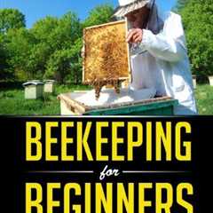 Beekeeping for Beginners: Your Honey Harvest Guide