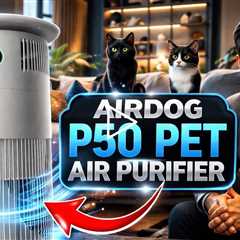 Airdog P50: World's First Washable Pet Air Purifier, Captures fur, removes odors, clears allergens p