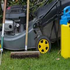 Lawn Care Products for Maintaining Grass During Bounce House Rental Use
