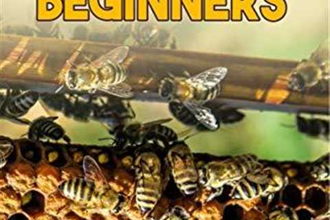 Beekeeping for Beginners: Easy Backyard Honey Guide