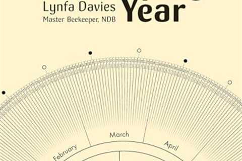 Year-Round Guide to Beekeeping Management