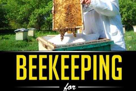 Beekeeping for Beginners: Your Honey Harvest Guide