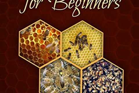 Beekeeping for Beginners: Your Complete Guide