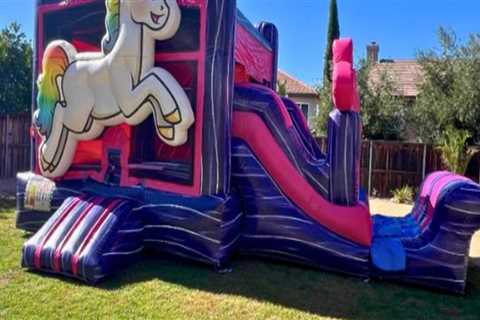 Bounce House Planning Tips for Stress-Free Rental Experiences