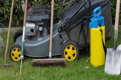 Lawn Care Products for Maintaining Grass During Bounce House Rental Use